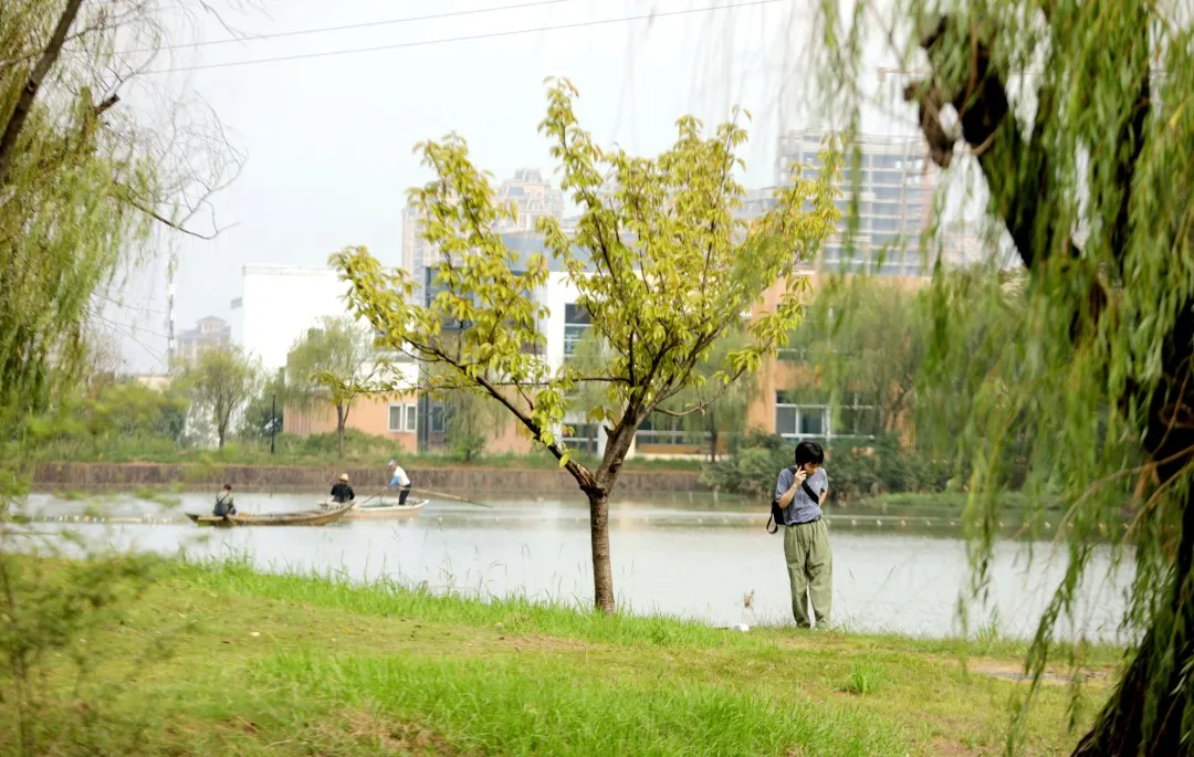 金职喊你免费吃鱼啦