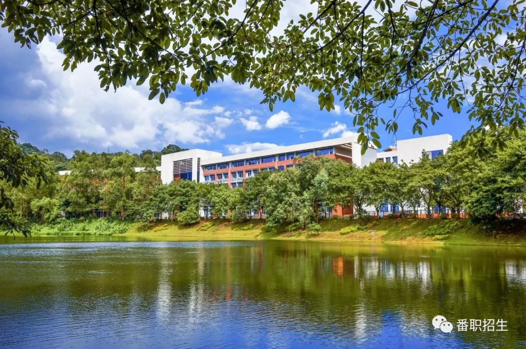 重磅！番职院2020年试点本科招生