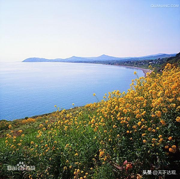 都柏林|爱尔兰共和国首都及最大城市，一座文化之都,“欧洲硅谷”