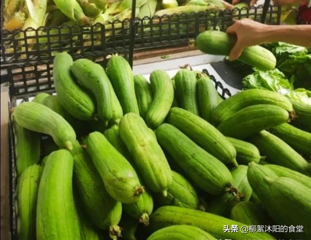 1.丝瓜的简介.2.丝瓜的分类.3.丝瓜的烹制方式.4.丝瓜菜的制作方法.