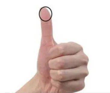 2克是多少(50g猪肉是多少,2两米饭又是多少?"手掌法则"帮你搞定)