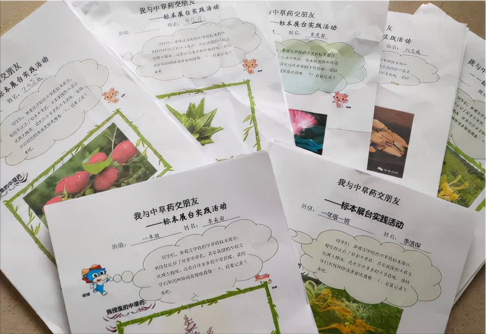 威海市环翠区北竹岛小学：构建“333”体系 高质量推动中医药文化进校园
