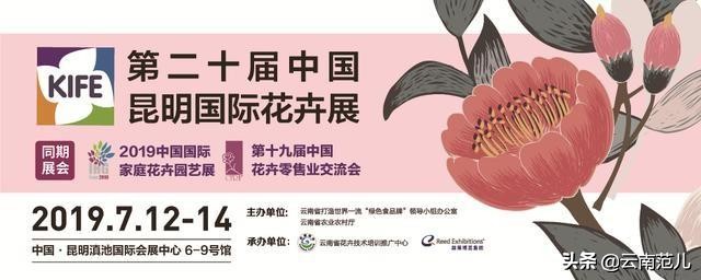 有一种日子叫花：当鲜花深入云南人的骨髓