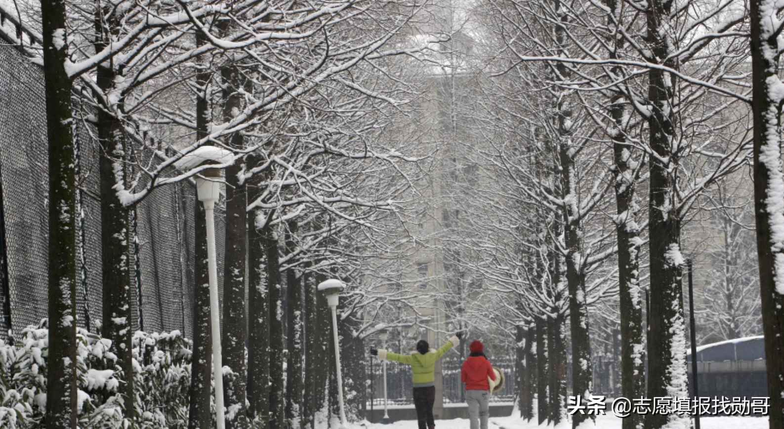 学计算机最好的11所普通大学，不比985、211差，毕业有高薪