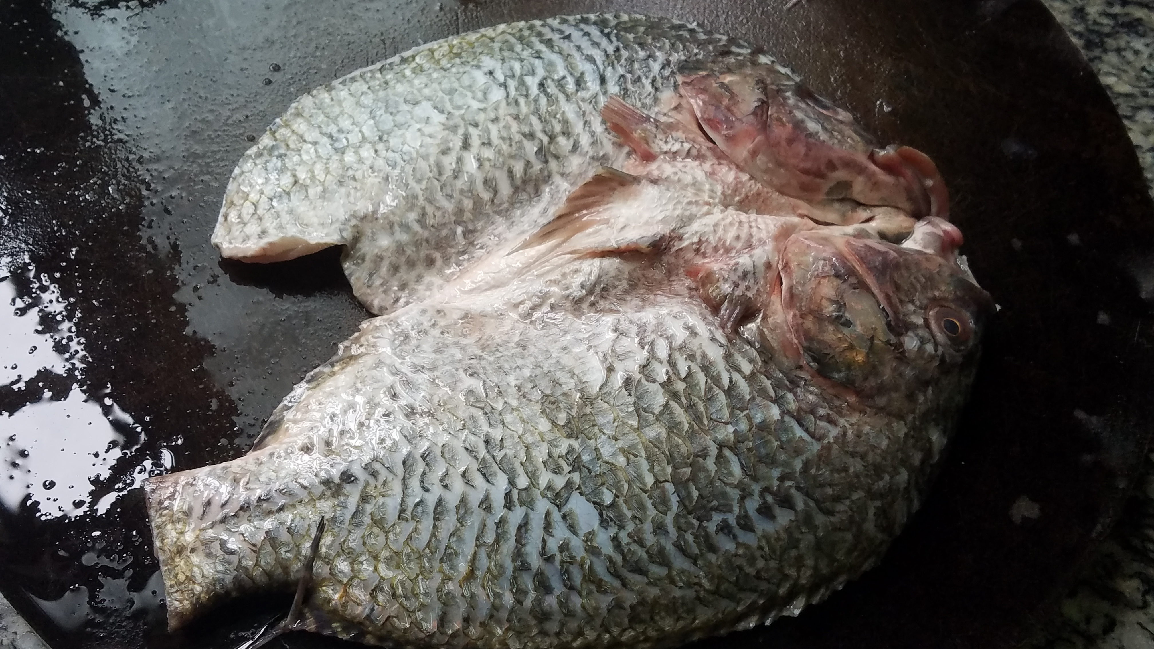 羅非魚的做法大全,羅非魚的做法大全家常菜