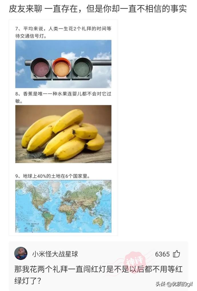 “大哥这驾照，我也是佩服了，警察叔叔都看懵了！”哈哈哈