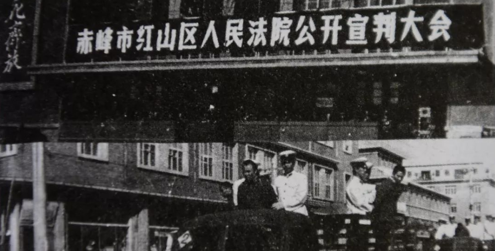 83年严打之前，上将杨得志的侄子遇害，全国范围内开始掀起严打