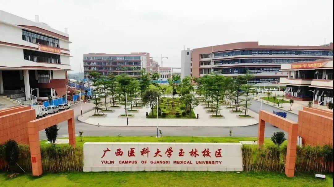 广西最早的大学是什么（盘点院校前身之广西医科大学）