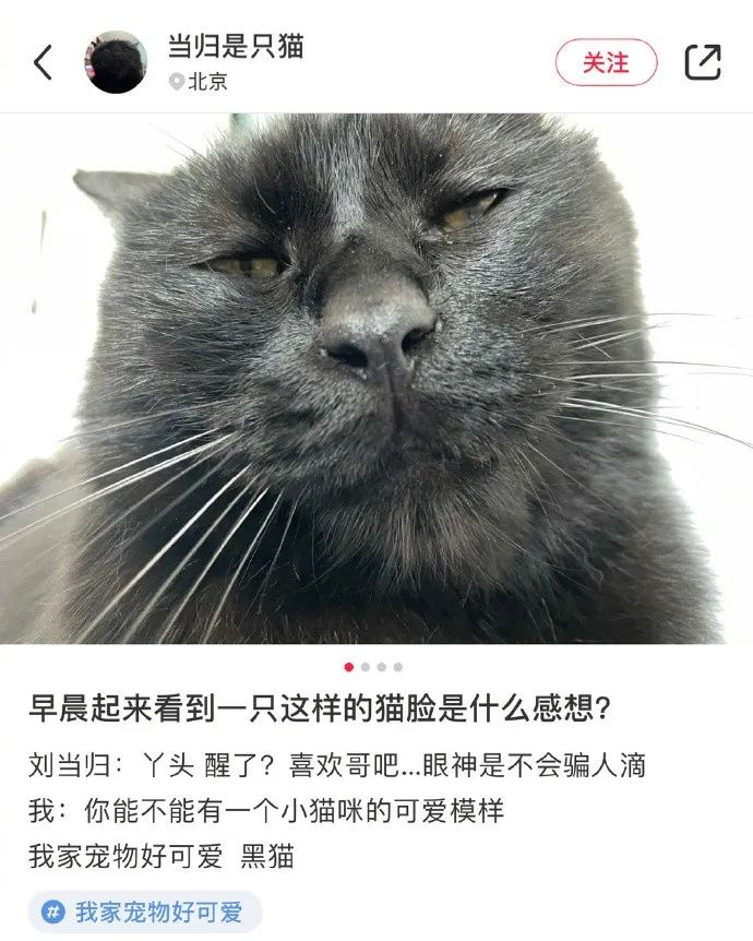 “学校开了门课叫制服诱惑！结果”网友：精准捕获最需要的学生