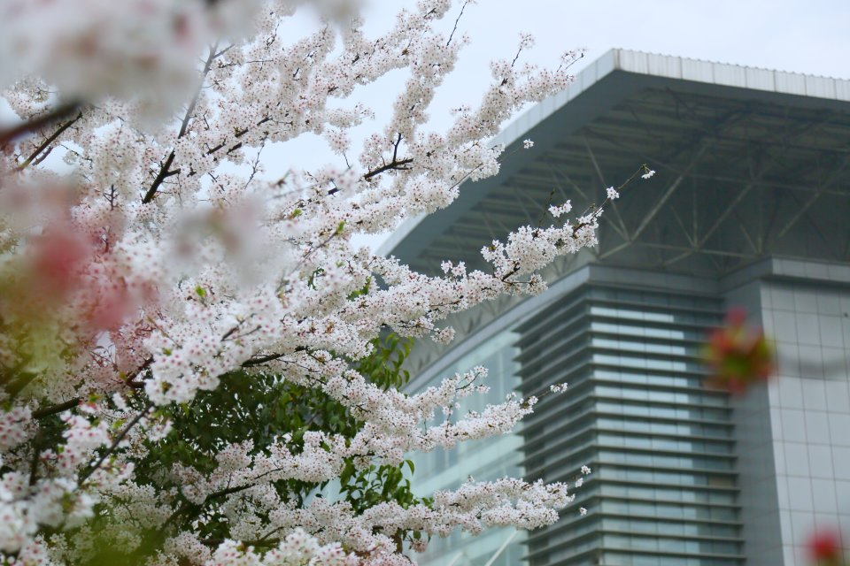 报考南京信息工程大学十大理由之七：最无忧，精准资助助成才