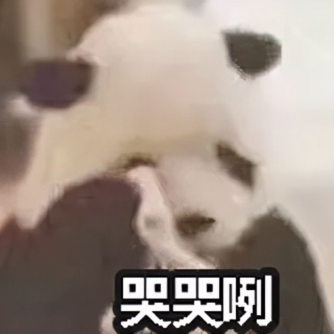 我从手里的6张offer里，挑了金斯顿