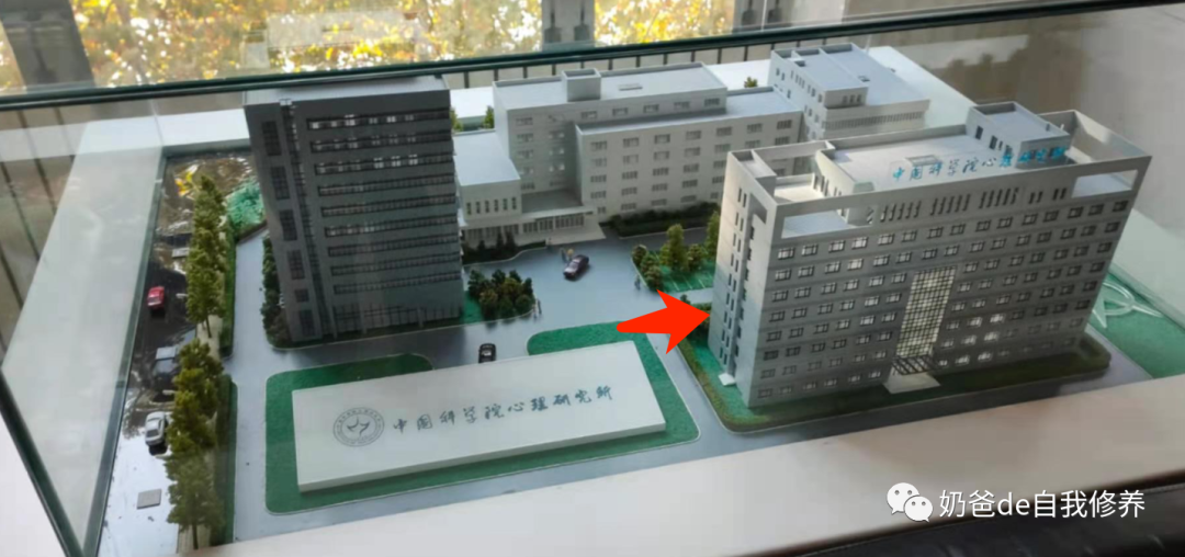 我带孩子去测了一下智商，终于知道以后鸡娃的方向了