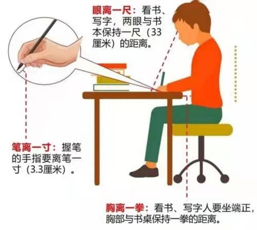 眼睛是如何看见东西的？最初的眼睛原来是这样的