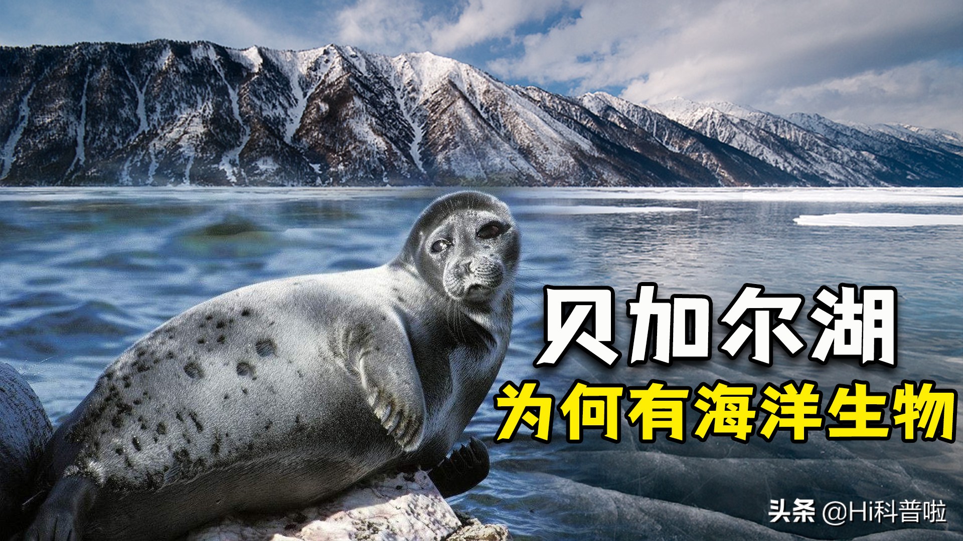 贝加尔湖距海2000多千米，为何湖里却有海洋生物？