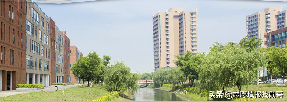 这9所“独立医学院校”性价比高，报考难度小，师资力量强