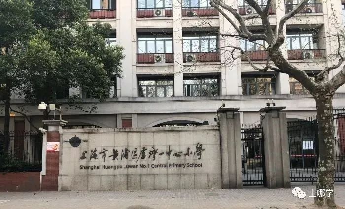 上海这个区没有超级名校，竞争小！小学不在本区读，进不了好初中