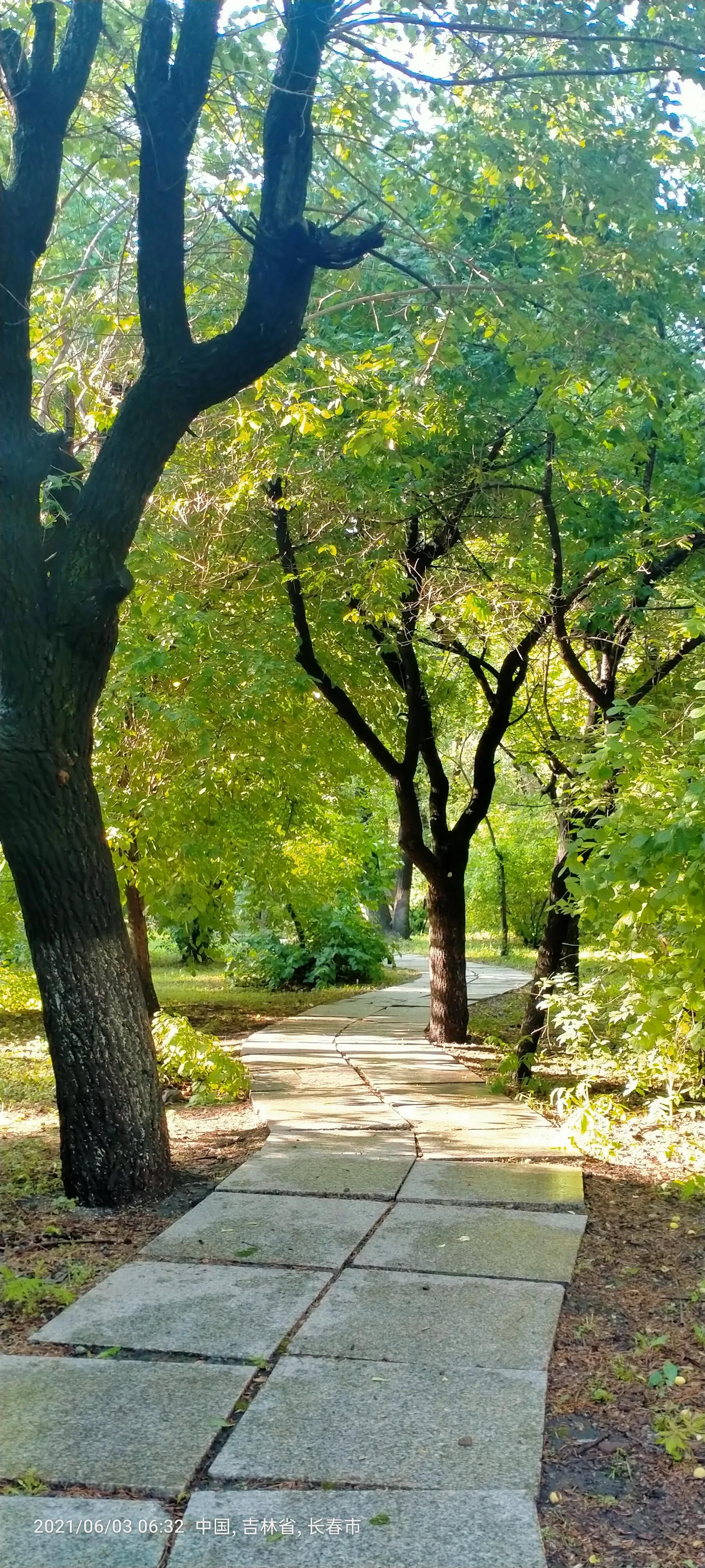 长春师范大学——竟然这么美