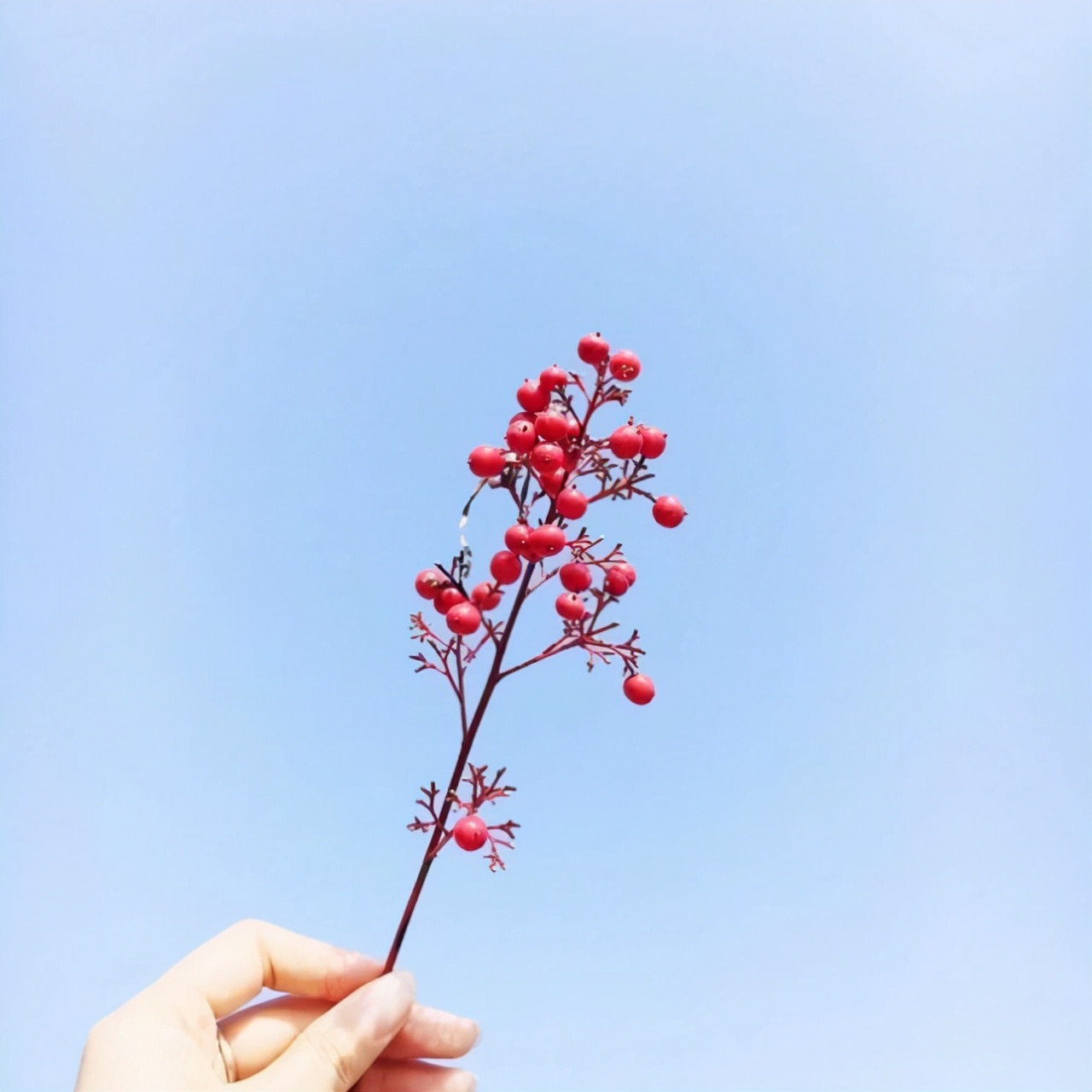 说到心坎的哲理说说，发朋友圈引人共鸣