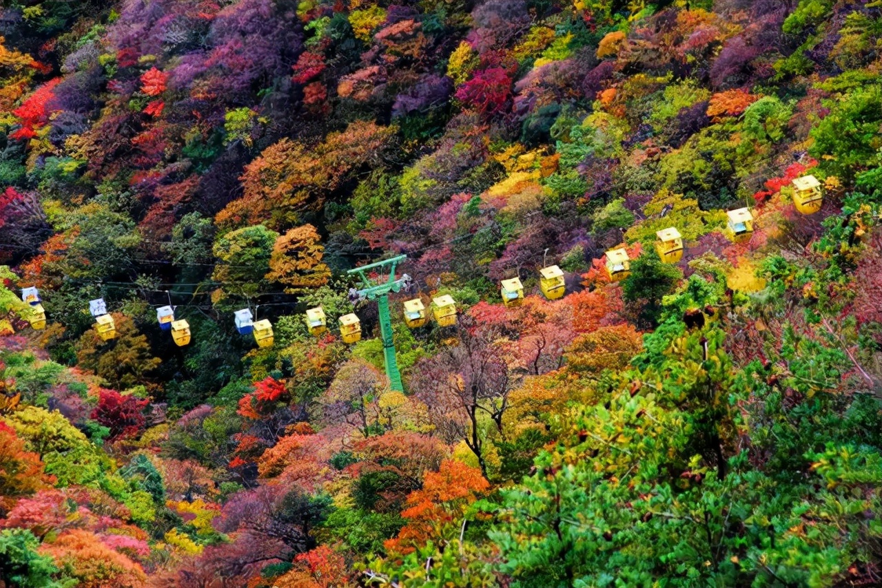 河南四个最红的景区，景美免门票，一个月内有效