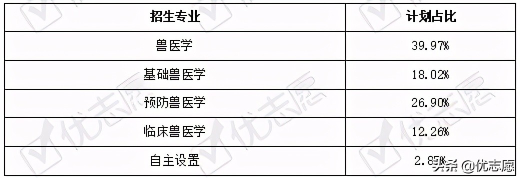 动物医学专业招生、升学、就业分析