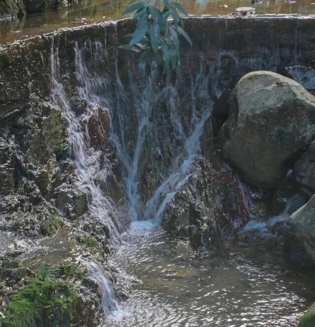 深圳十大免费少人知可以观海的公园