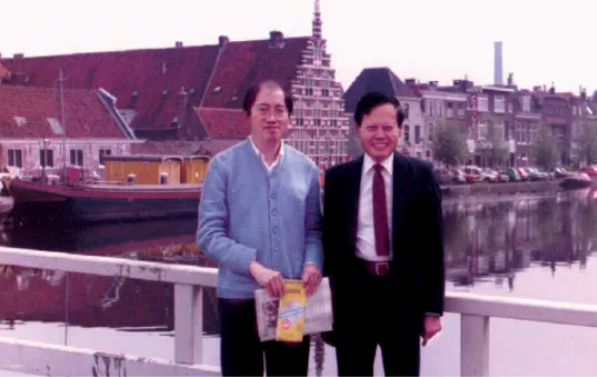 杨振宁先生数理工作漫谈：单位圆定理及其他