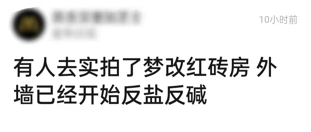 梦想改造家再曝争议！红砖房反碱有坍塌危险，楼顶开裂处处是问题