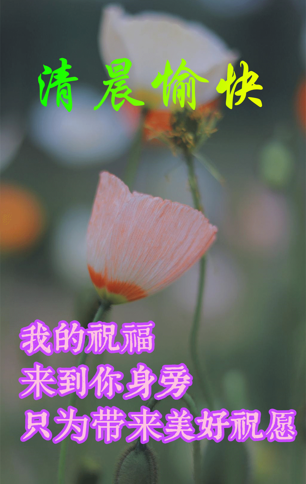 美女表情包：真正的绝望，是内心的迷茫