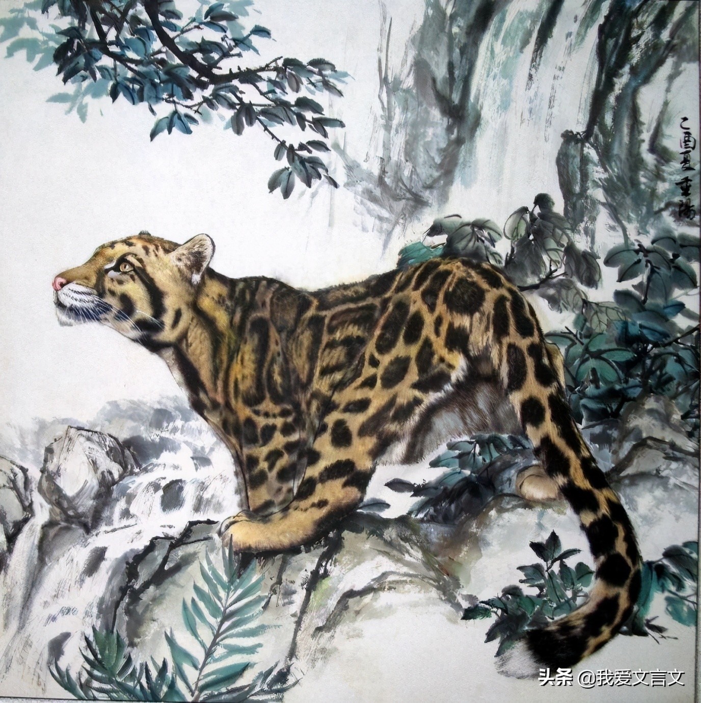 经典文言文赏析 | 若石之死