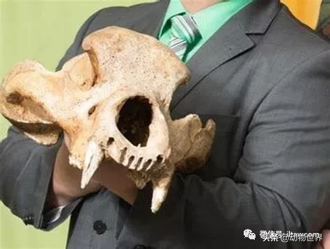 10种曾与人类同行的巨型野兽