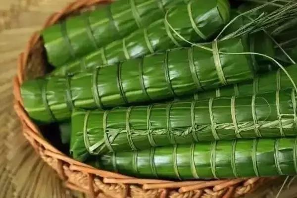 端午百科：年年吃粽子，粽叶是什么植物的叶子？天南海北不一样！