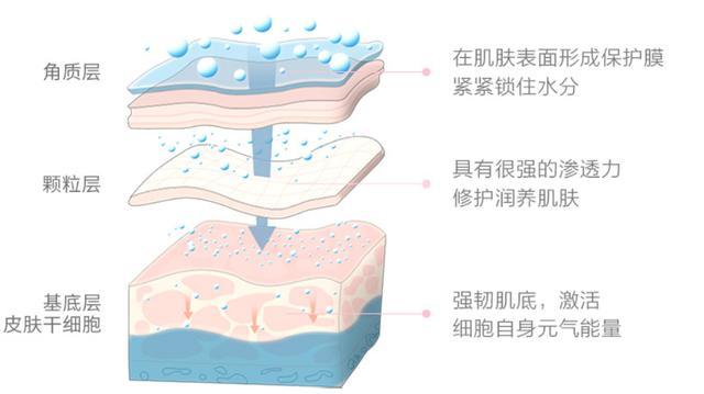 董璇大赞的红色小象面霜，大多“星二代”都在用，你还不知道吗？