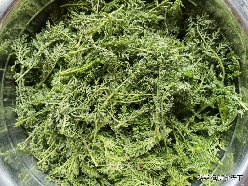 咬一口，满足你对小丸丸所有的渴望