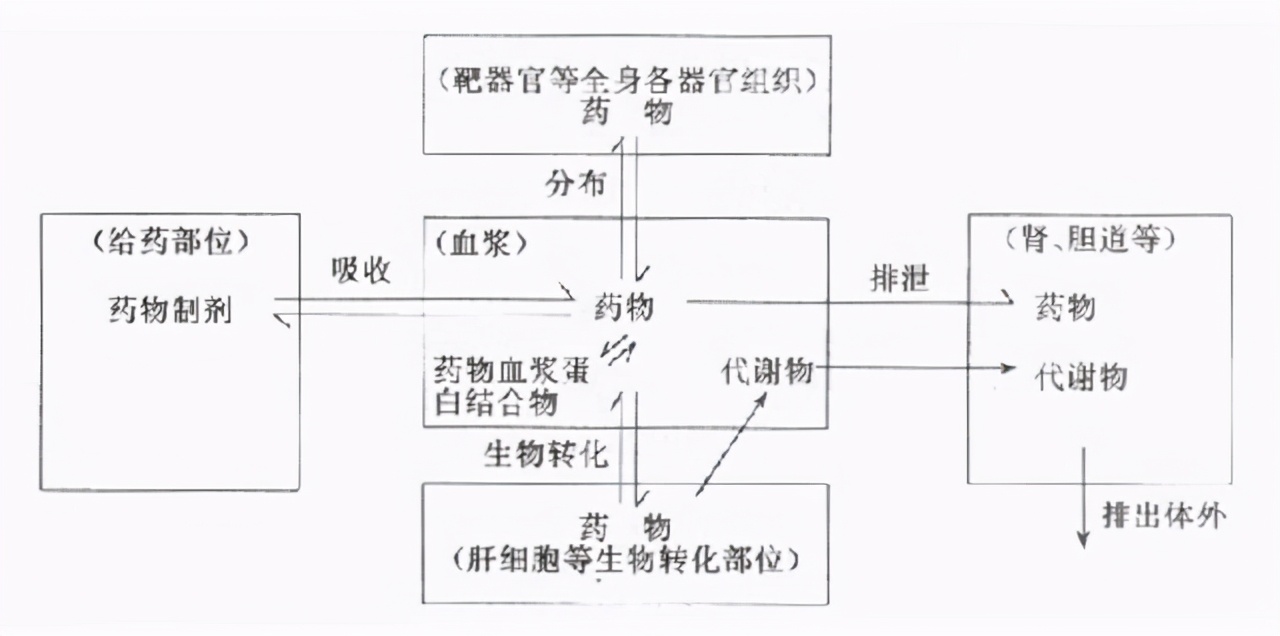 胆囊切除对身体有何影响？后遗症不好受，除非万不得已，别切