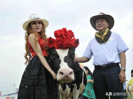 正处级23年，他被查