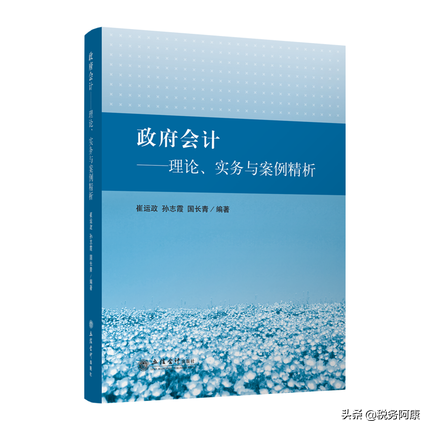 政府会计要素（政府会计）