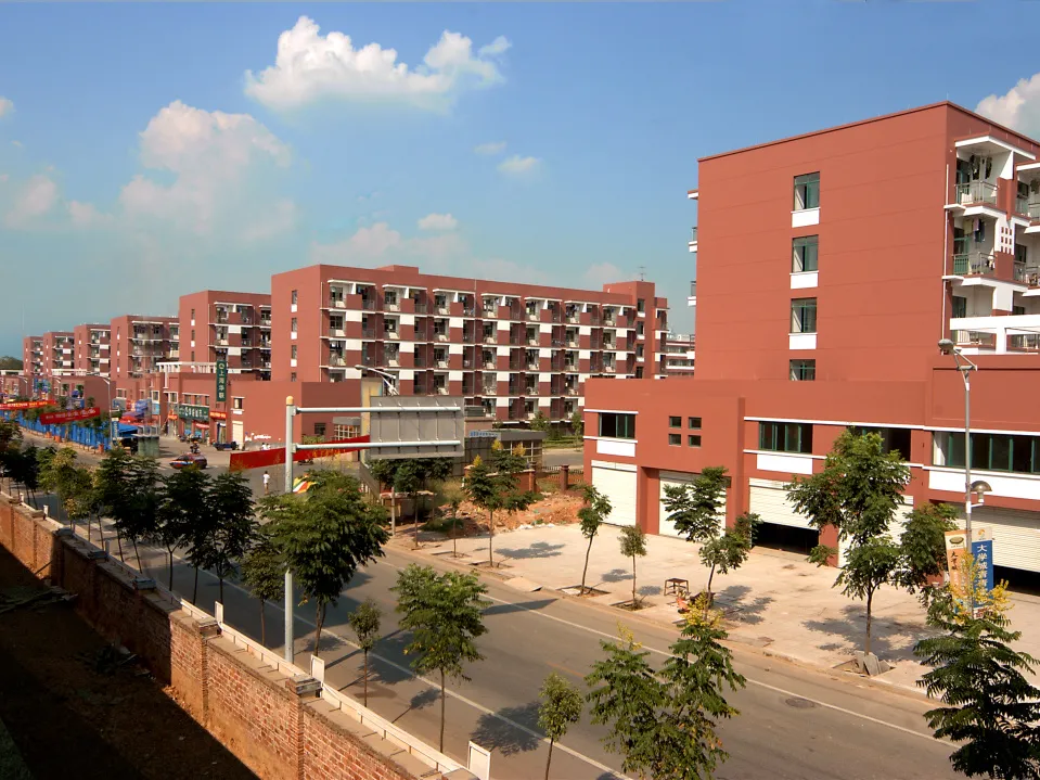 金职，生日快乐