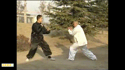 汤瓶七势拳格斗精华：中原第二狠拳，现代散打拳法的雏形