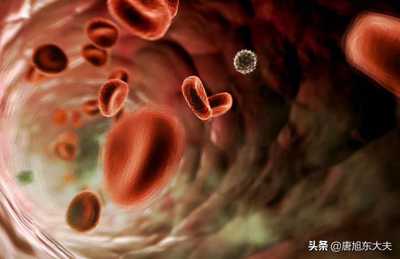 血液病患者要想改善生活质量，科学地运用中医药治疗不可少
