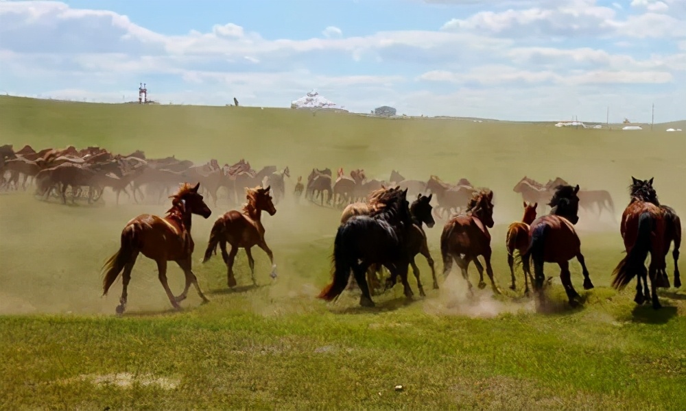 什么是汗血寶馬,