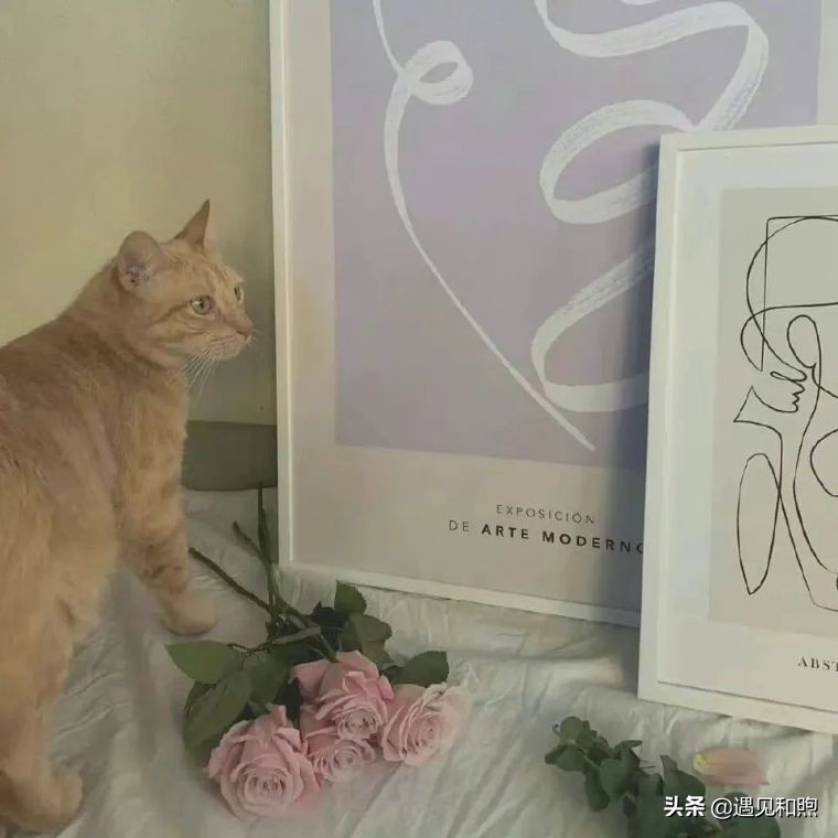 女人不反感你做这四件事，说明你们两个“有戏”，要好好把握