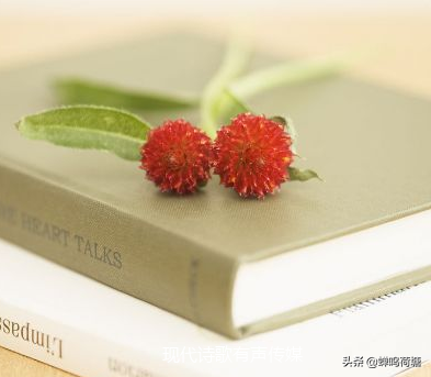 《青春》作者：董卿 朗诵：曹瑛