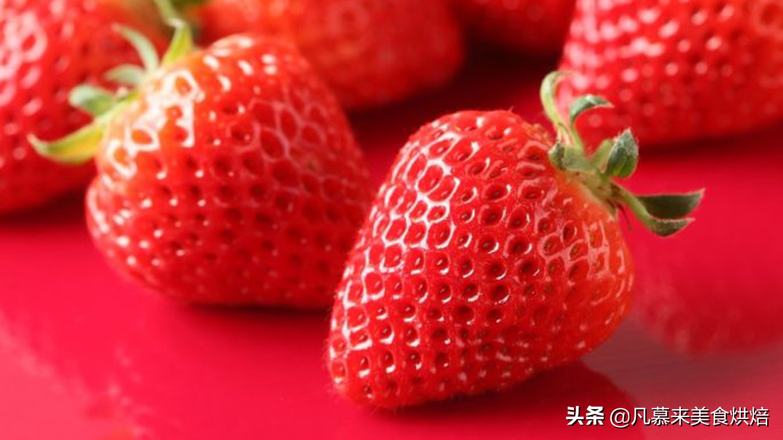 24种常见草莓品种，中国20大草莓产地？哪里的草莓最好吃？