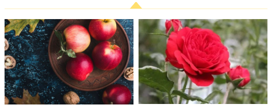 可食用的月季花品种（大量美食预警这6款月季好看还好吃）