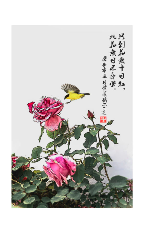 F11摄影画廊精选作品 | Vol.02