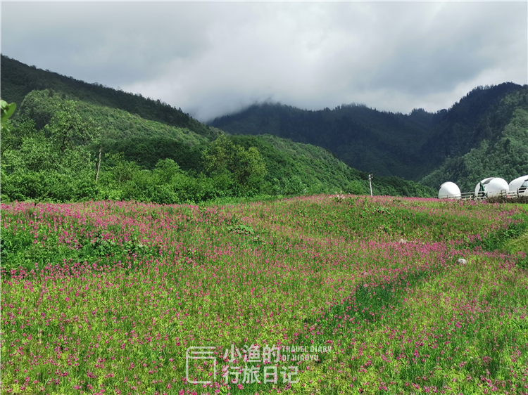 成都竟然有个“小瑞士”？森林湖泊、花海城堡……美得太浪漫