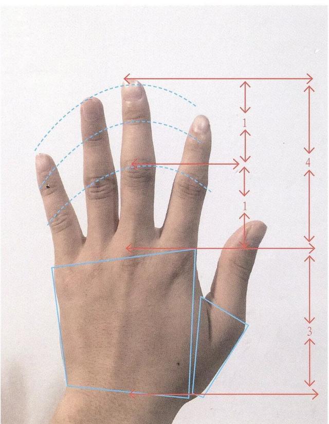 手部如何画？新手入门画手部的技巧