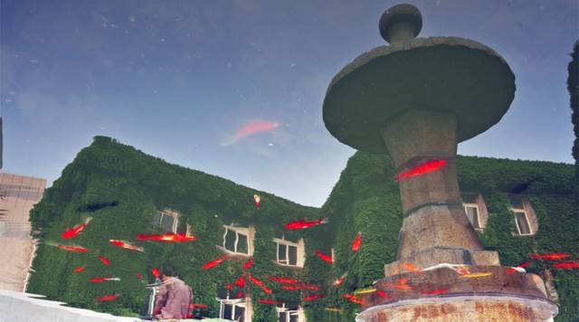 神奇动物在哪里？这些大工校园里的神奇动物你们见过哪些呢？