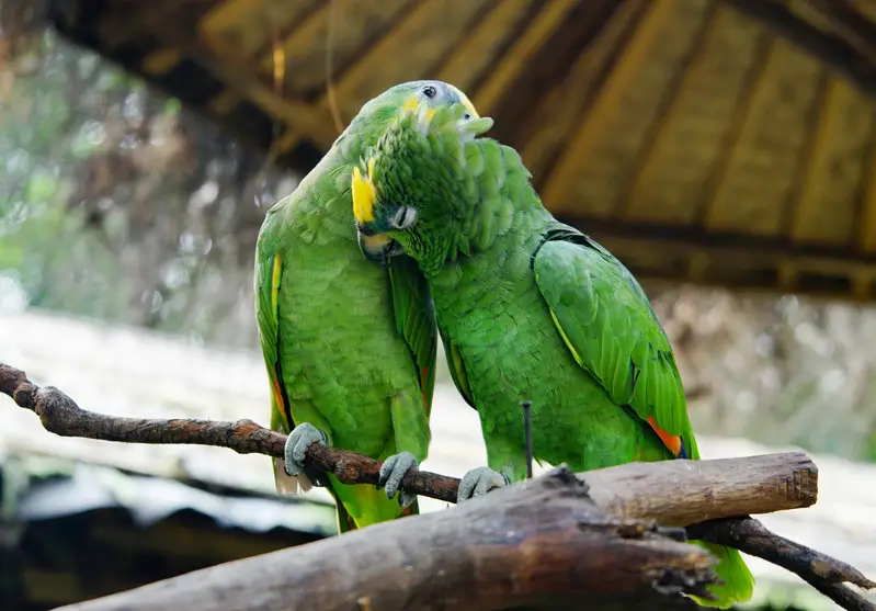 长隆欢乐世界旅游攻略景点必去（三天三夜欢乐长隆之旅）