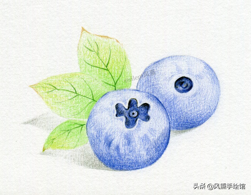 电击蓝莓怎么画图片
